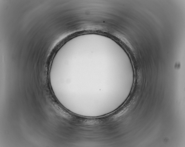 X0000091301021200709071048