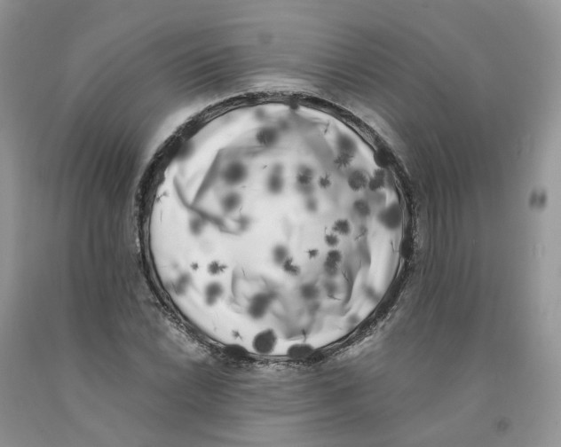 X0000091301022200709071048