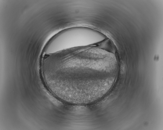 X0000091301024200709071048