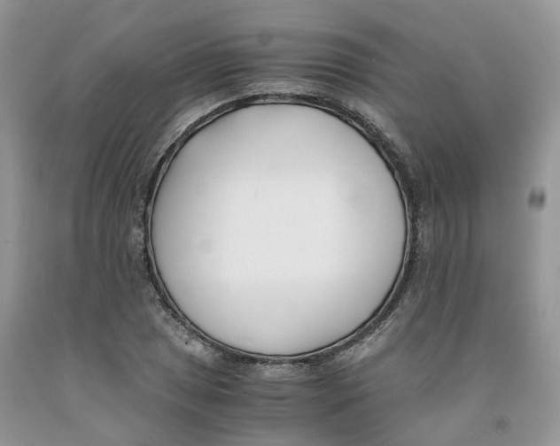 X0000091301025200709071048