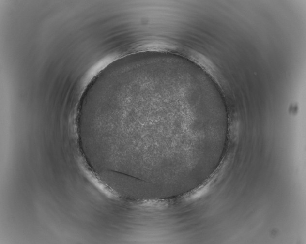 X0000091301026200709071048