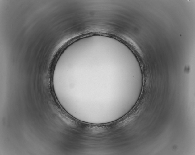 X0000091301027200709071048