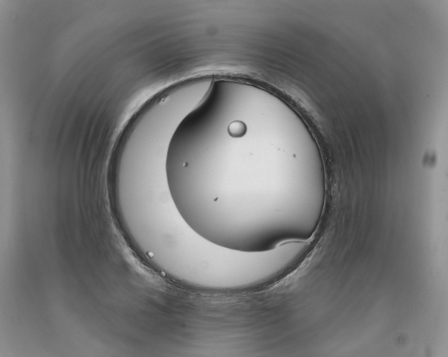 X0000091301030200709071048