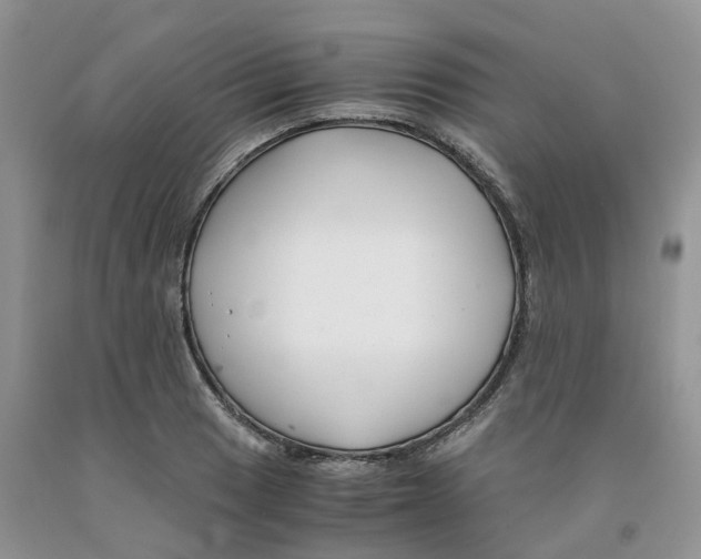 X0000091301033200709071048