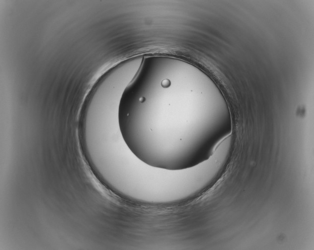 X0000091301034200709071049