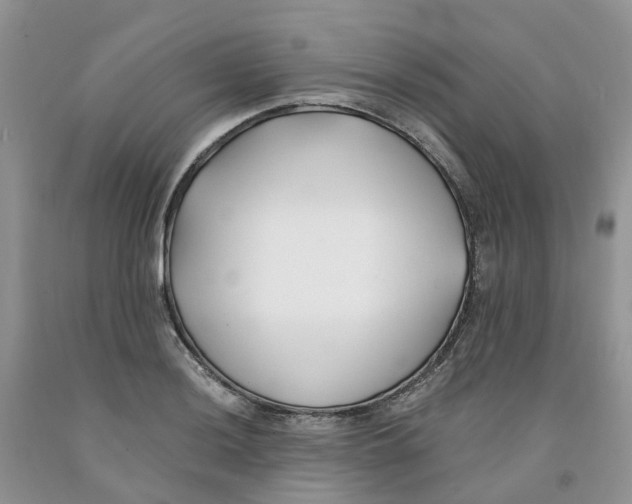 X0000091301036200709071049