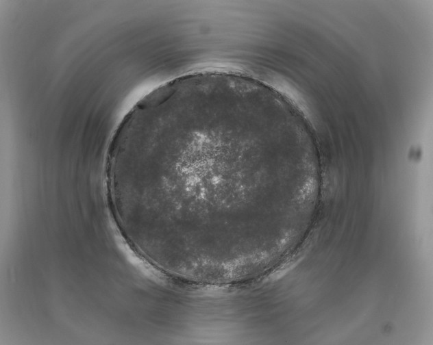 X0000091301038200709071049