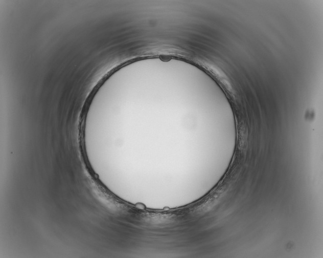 X0000091301039200709071049