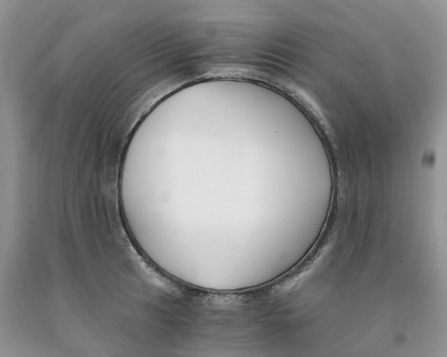 X0000091301041200709071049