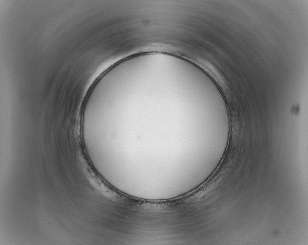 X0000091301044200709071049