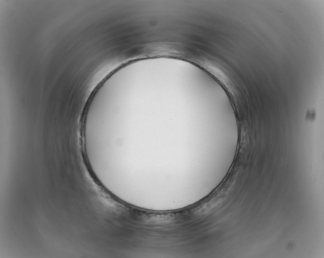 X0000091301047200709071049