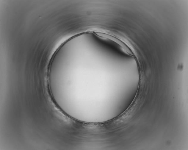 X0000091301048200709071049