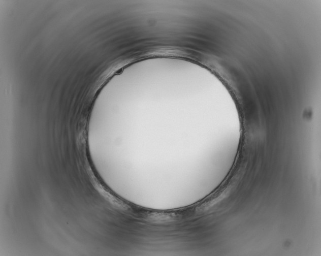 X0000091301049200709071049