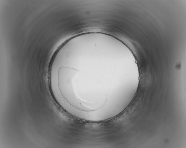 X0000091301051200709071049