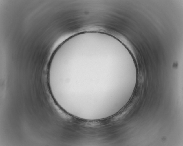 X0000091301053200709071049