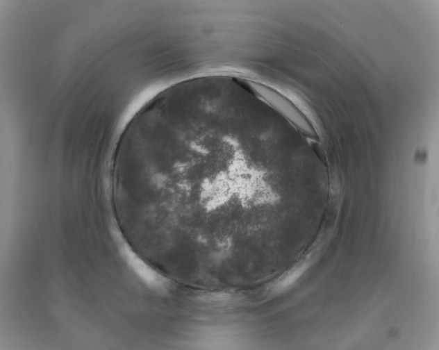 X0000091301054200709071049