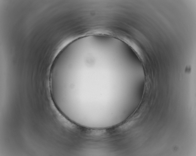 X0000091301055200709071049