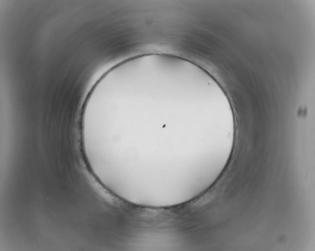 X0000091301056200709071049