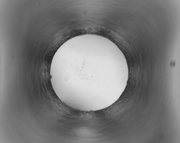 X0000091301058200709071048