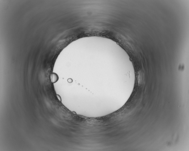 X0000091301059200709071048