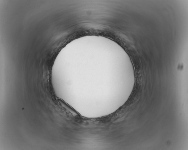 X0000091301061200709071048