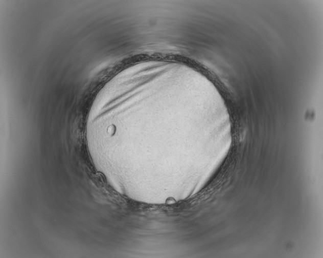 X0000091301063200709071048