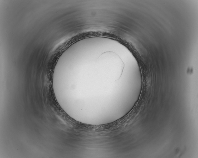 X0000091301064200709071048