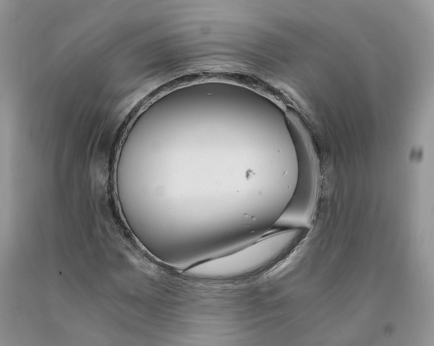 X0000091301065200709071048