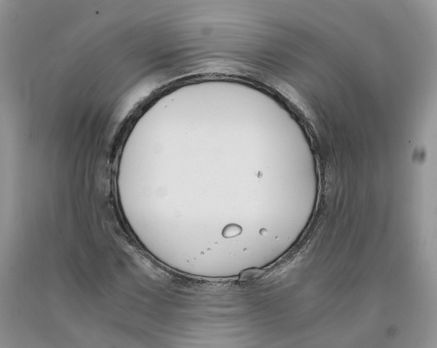 X0000091301067200709071048