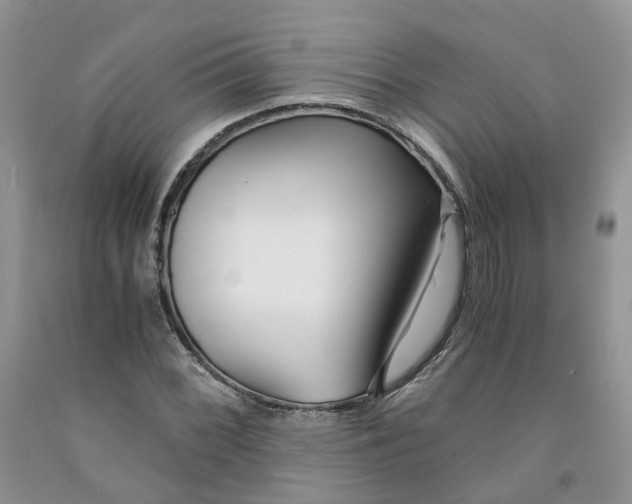 X0000091301068200709071048