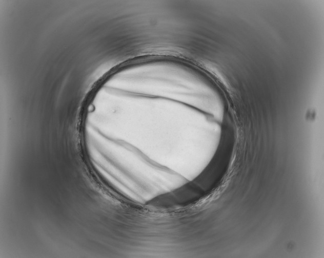 X0000091301071200709071048