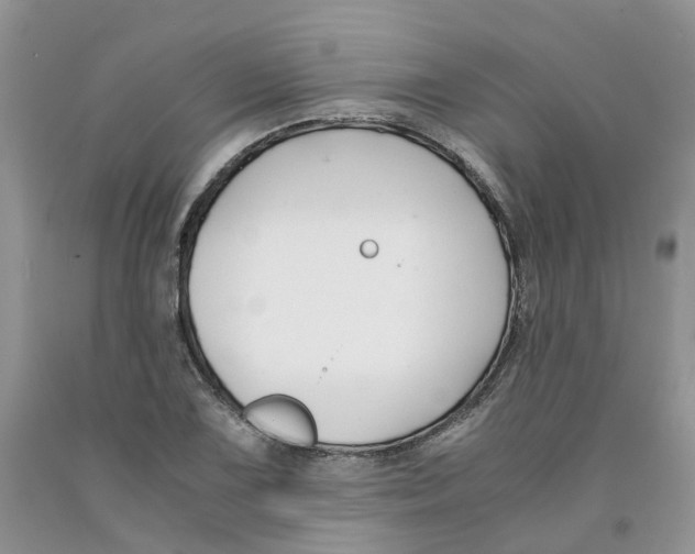 X0000091301075200709071048