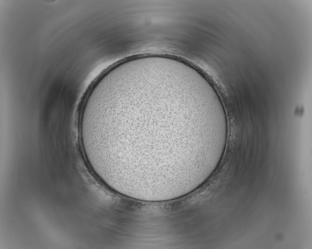 X0000091301078200709071048