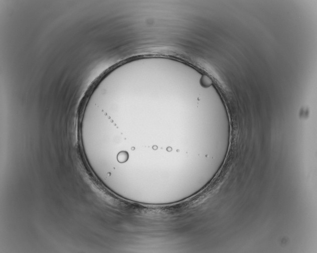 X0000091301079200709071048