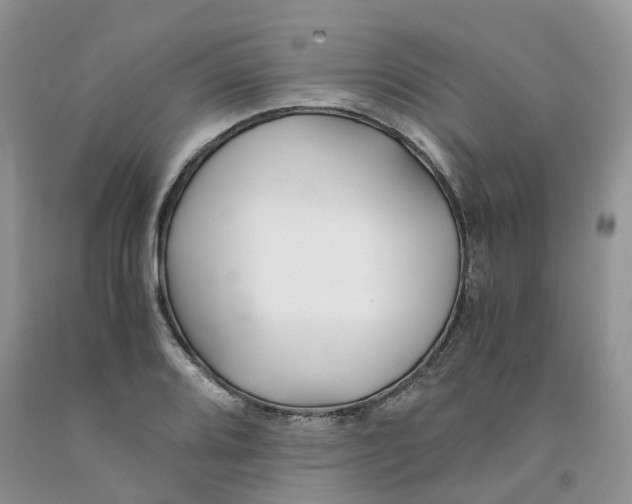 X0000091301080200709071048