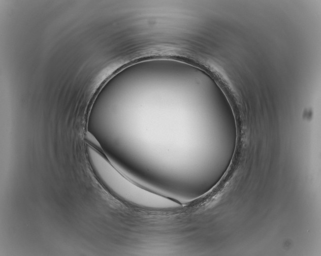 X0000091301081200709071048