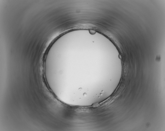 X0000091301083200709071048