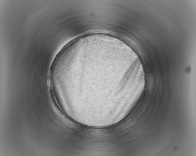 X0000091301084200709071048