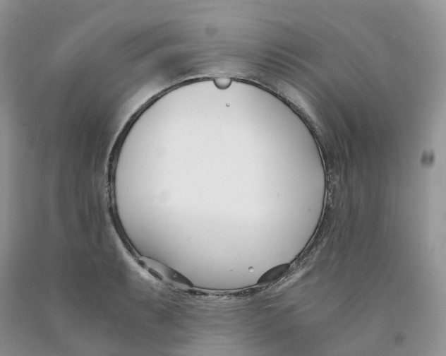 X0000091301087200709071048