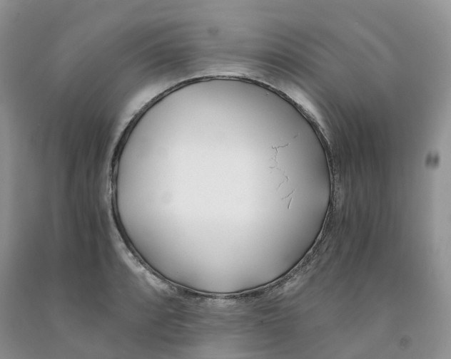 X0000091301088200709071048