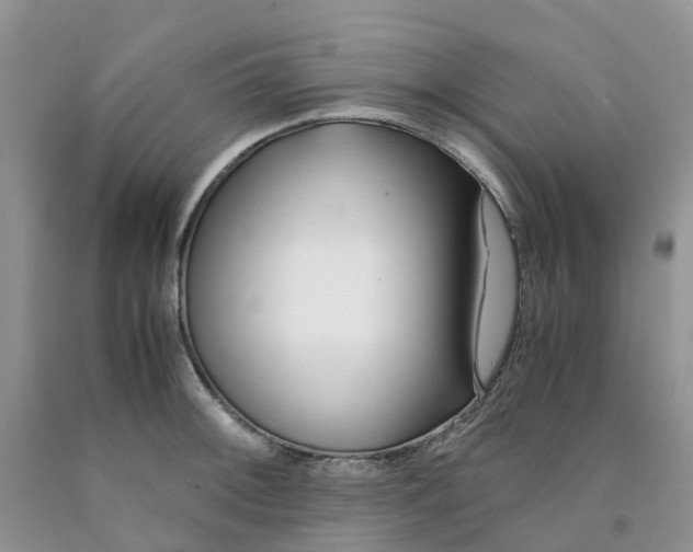 X0000091301092200709071047