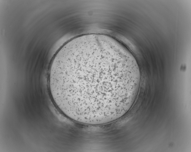 X0000091301094200709071047