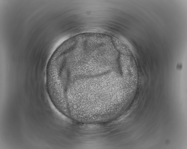 X0000091301095200709071047