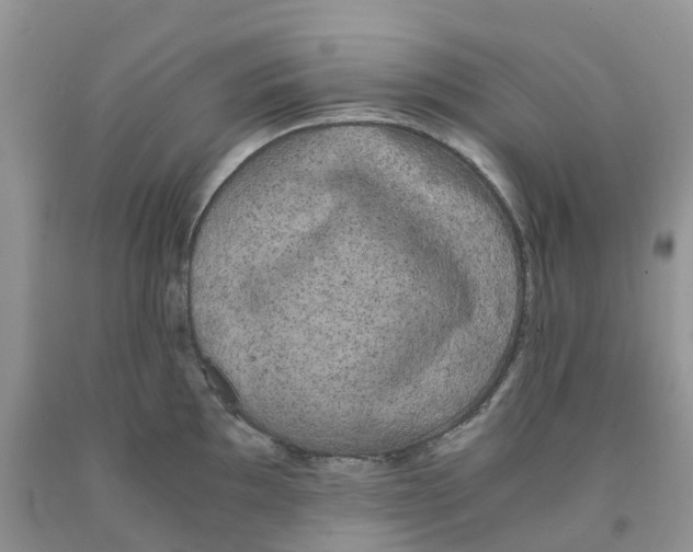 X0000091301097200709071047