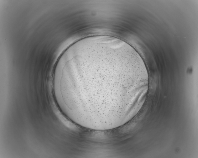 X0000091301098200709071047