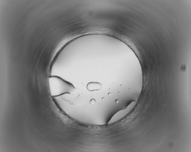 X0000091301099200709071047