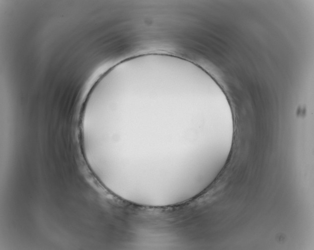 X0000091301104200709071047