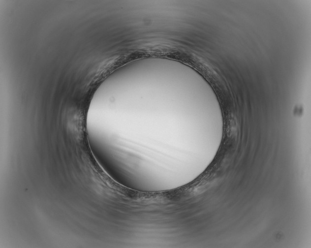 X0000091301108200709071047