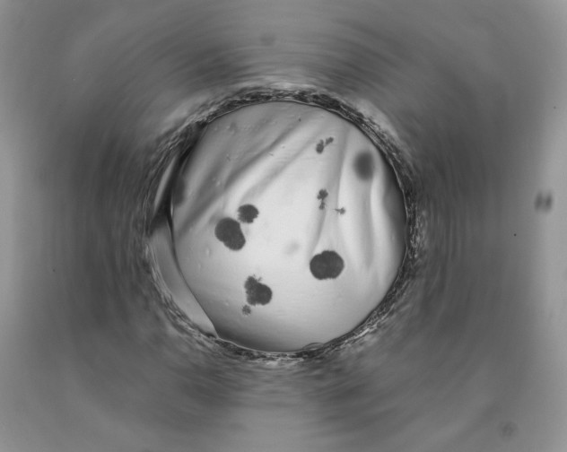 X0000091301110200709071047