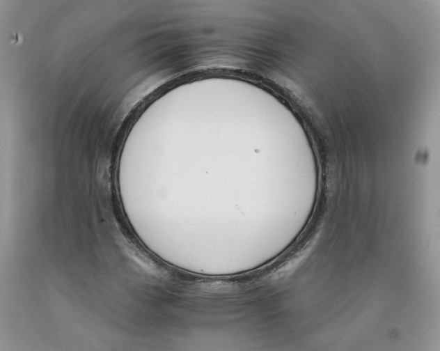 X0000091301113200709071047